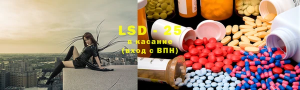 таблы Новозыбков