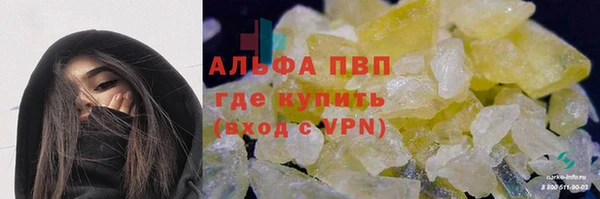 таблы Новозыбков