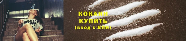 хмурый Нея
