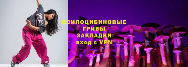 таблы Новозыбков