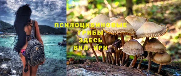 хмурый Нея