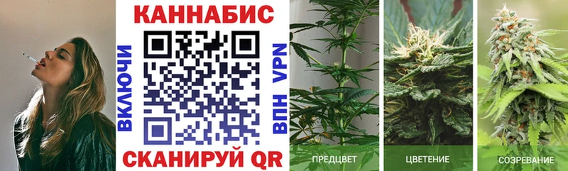 Бошки Шишки AK-47  Купить закладки  Новоалександровск 